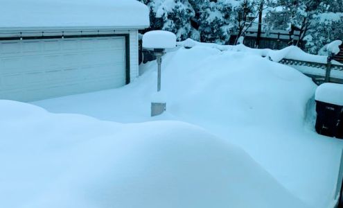 Briscoe Surplus Sales Flora