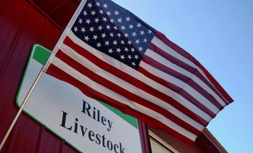 Riley Livestock, INC Hamptonville