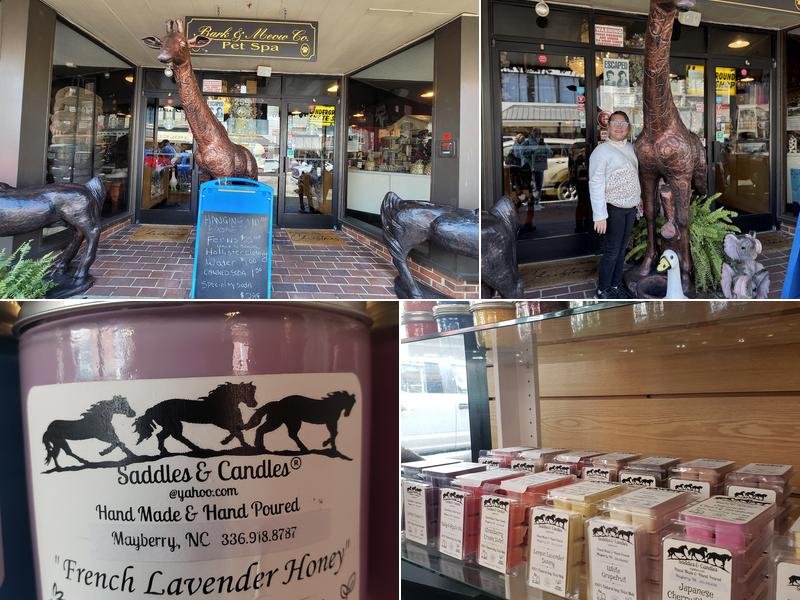 Bark & Meow Co. Pet Spa