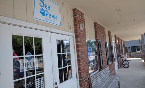Sea Paws Morehead City