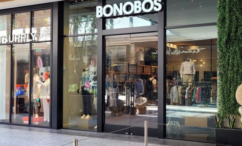 Bonobos