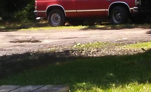 Marena's Upholstery Vandemere