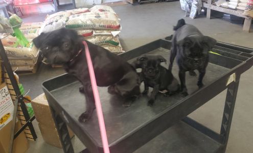 Banning Country Feed