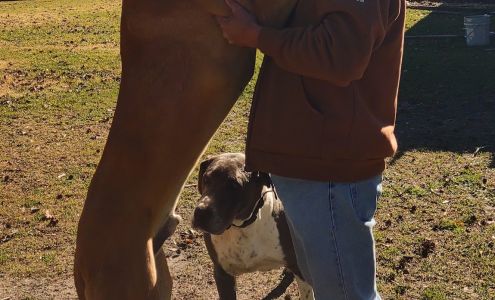 Chadbourn Feed Services Inc