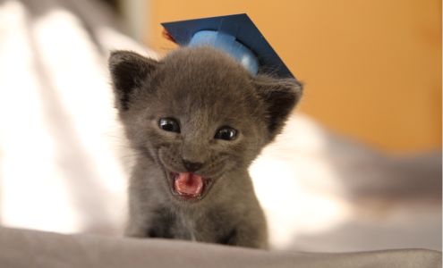 Bartlett Bath & Kitchen Remodeling