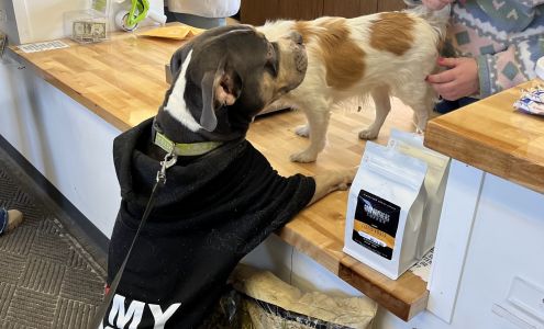 The Shipping Department