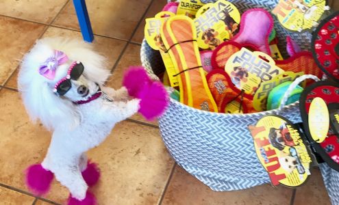 Seal Beach LaunderPet