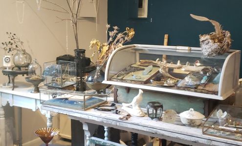 Eden Boutique New Paltz