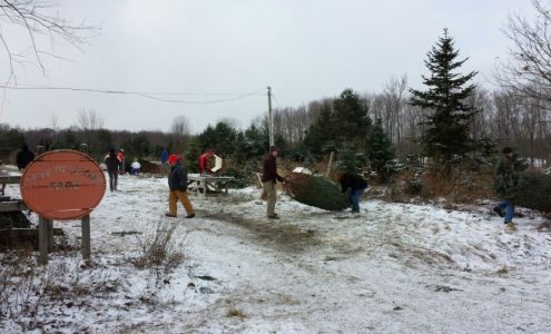 Field Of Dreams Tree Farm South Wales