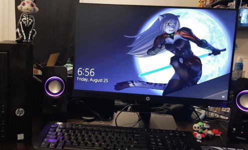 Finger Lakes Computer Medic Watkins Glen