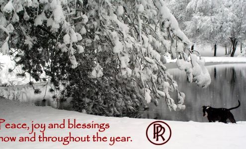 Panther Run Saddlery Sandgate