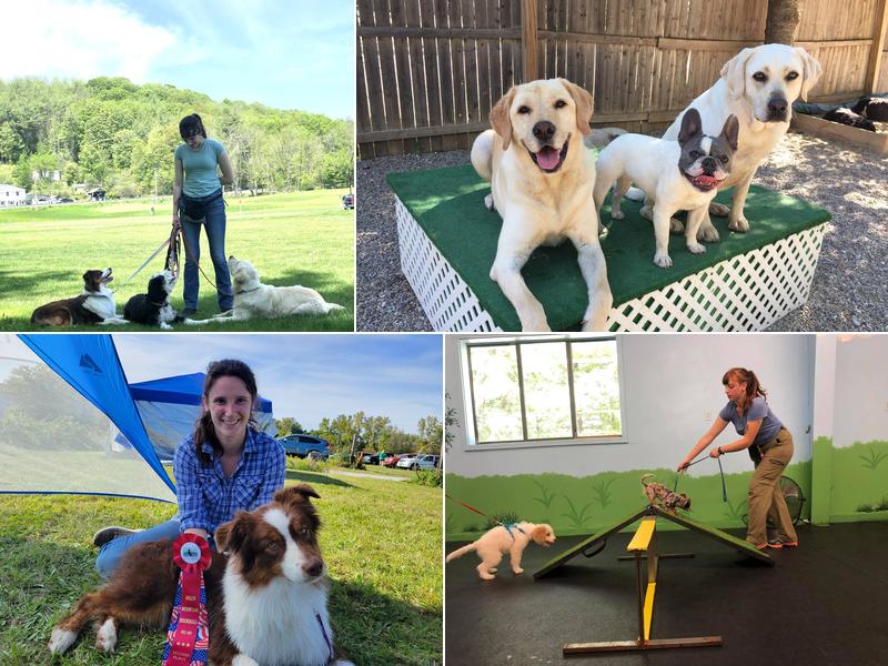 Grateful Dog Training, Inc.