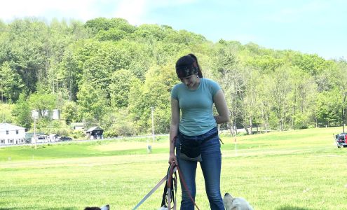 Grateful Dog Training, Inc. 204B Manchester Valley Rd, Manchester Vermont 05255