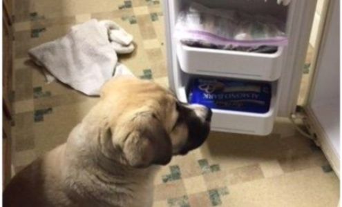 Guion's Showcase Emporia