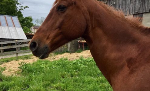 Livingston Manor Family Health Livingston Manor