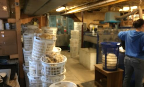 Lazy Meadows Alpacas & Fiber Mill Hughesville