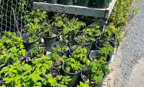 Malone Farm & Home Center