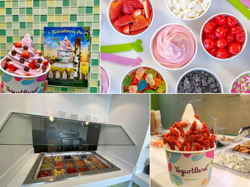 Yogurtland Redondo Beach
