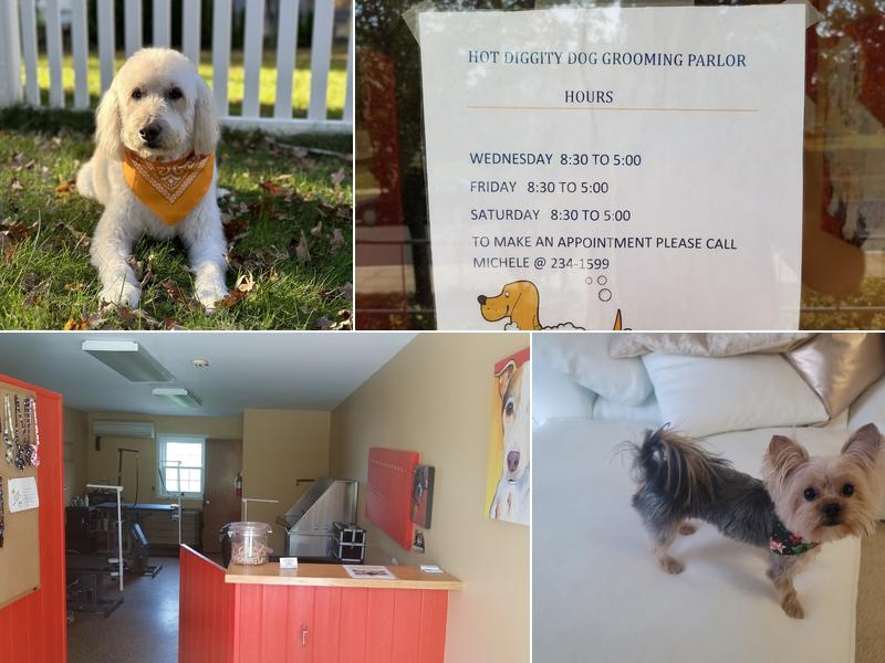 HOT DIGGITY DOG GROOMING SALON