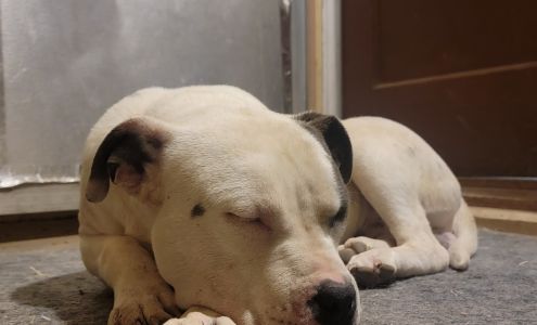 Humane Society of Lincoln County