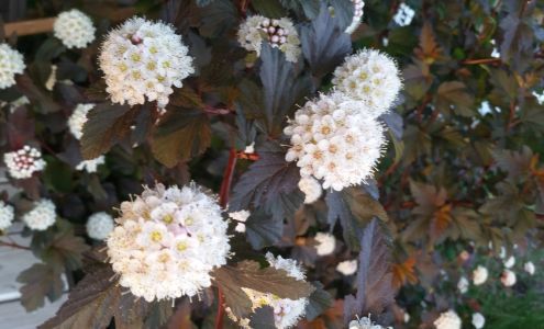 Lakes Area Computer Services