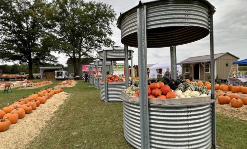 Swift Pumpkins and Produce, LLC Bronson