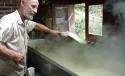 Sandhill Skates Rutledge