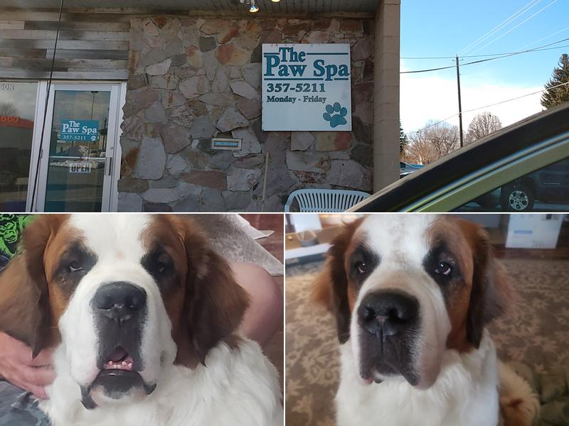 Paw Spa