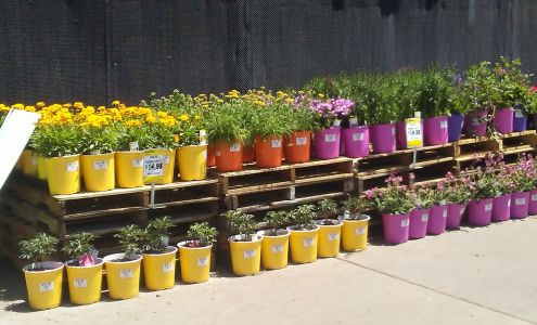 Garden Center at The Home Depot