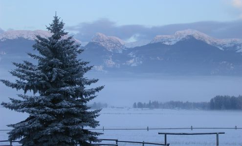 Avilas Pro Shop Inc Pablo