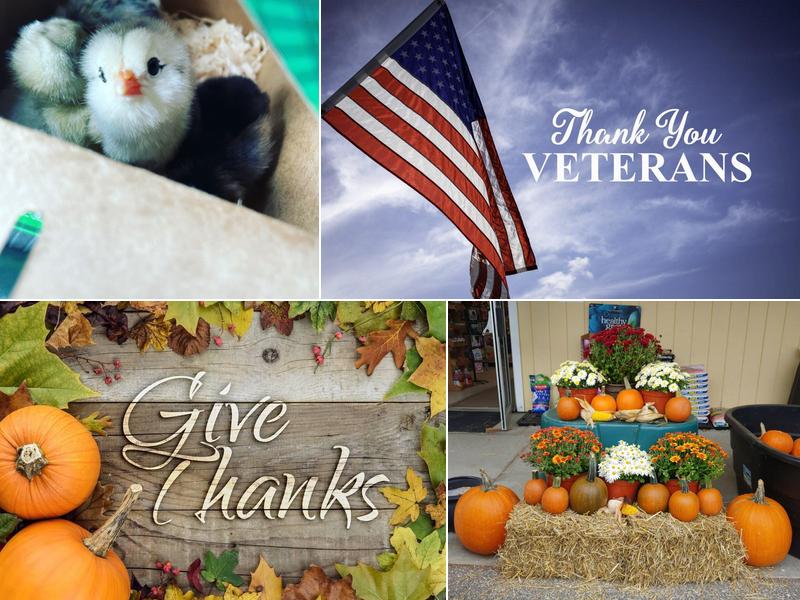 Dodge's Agway Farm & Garden