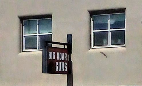 Big Boar Guns