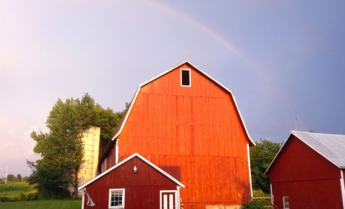 Nubbie Butts Farm Scipio Center