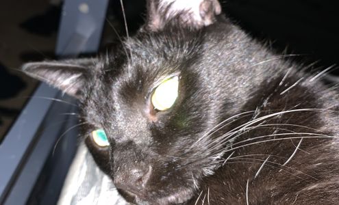 All in 1 Wholesale University Park