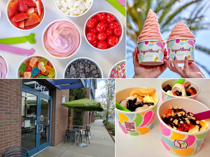 Yogurtland Walnut Creek