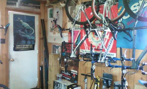 Activity Sports & Cycles