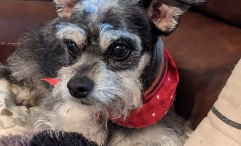 Vanity Fur Pet Salon and Resort