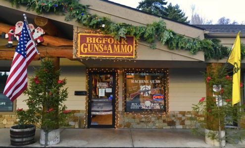 Bigfork Guns and Ammo