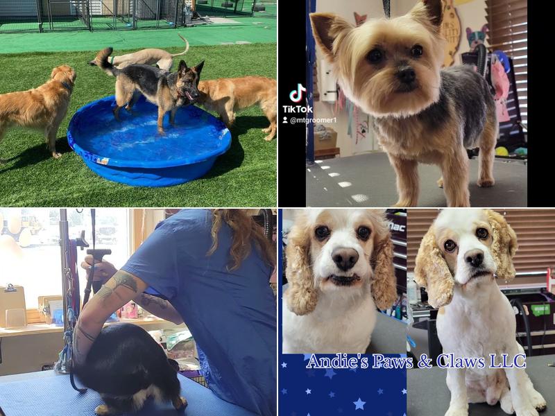 Andie's Paws & Claws LLC