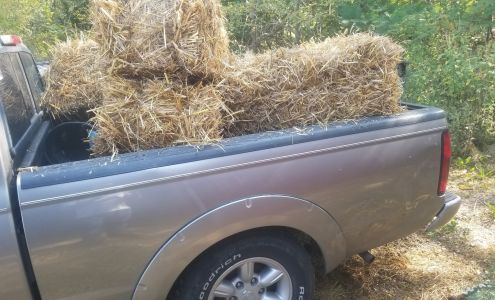 Palmer Feed & Vet Supplies Macks Creek