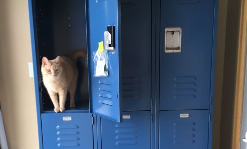 Geauga Music Center Inc