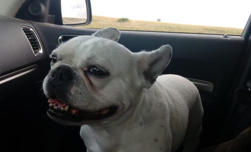 Homestead Acres Boarding Knnls Ross