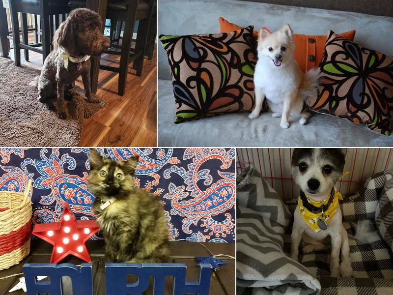 Sebastien's Pet Salon