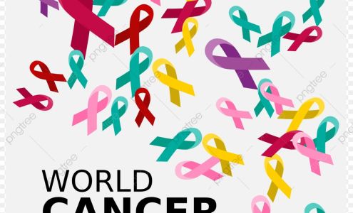 Renée’s Survivor Shop