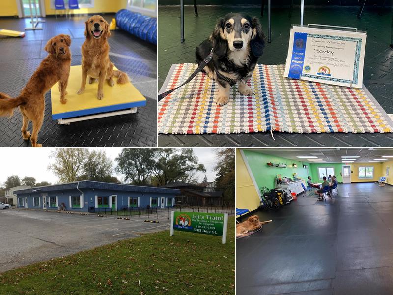 Let's Train! Dog Training