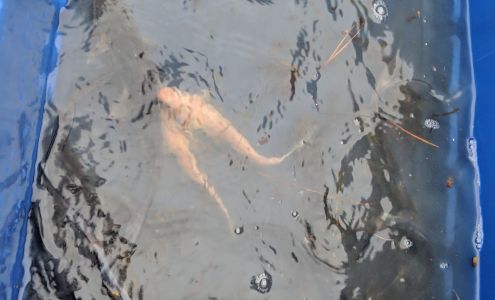 Miller's Feed & Pet Farmington