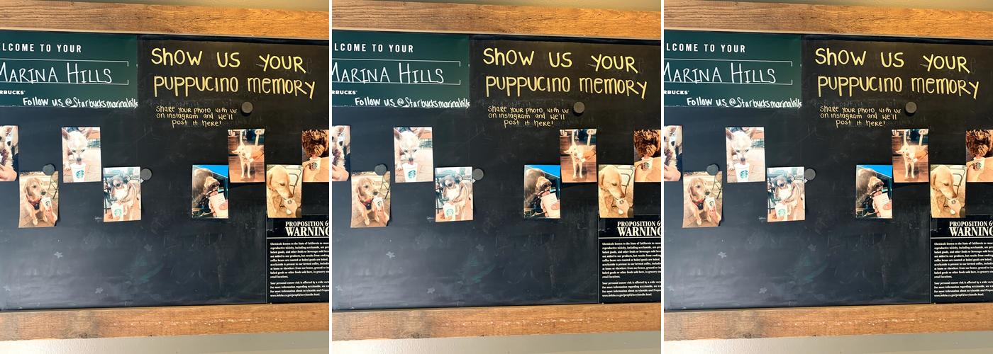Starbucks Coffee Company Menu
