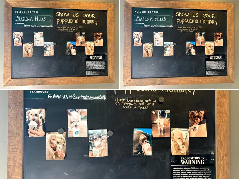 Starbucks Coffee Company Menu