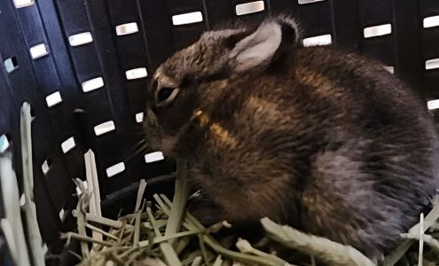 Veterinary Supply Co