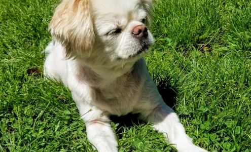 Groomingdales 113 S Vann St, Vinita Oklahoma 74301